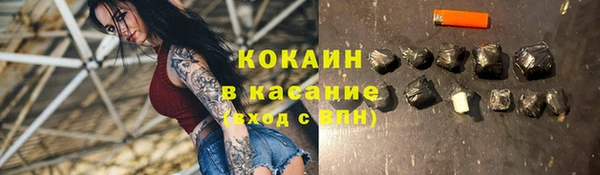 прущие грибы Арсеньев