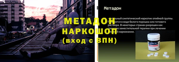 прущие грибы Арсеньев